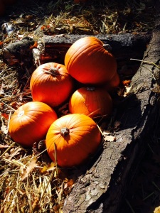 pumppkins